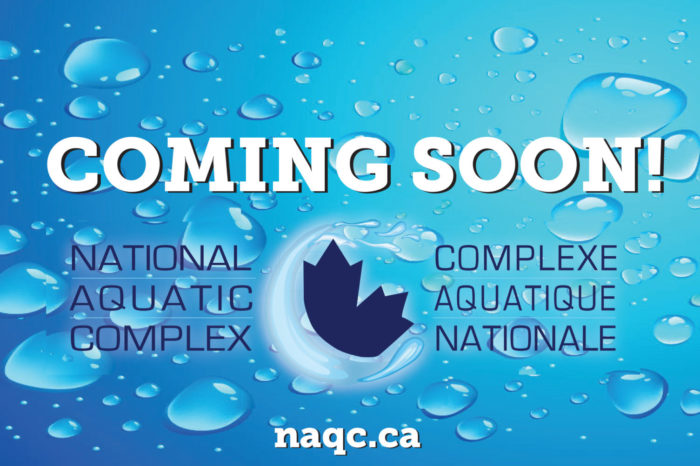 The National Aquatic Complex Project