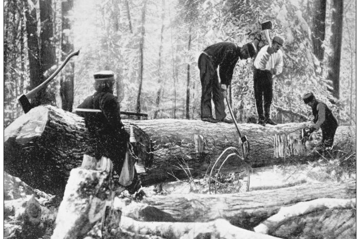 Ottawa: From Scrappy Lumber Town to Silicon Valley North and Beyond